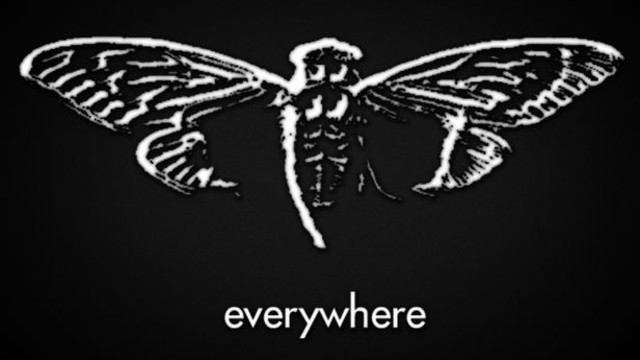 En gizemli internet örgütü: Cicada 3301