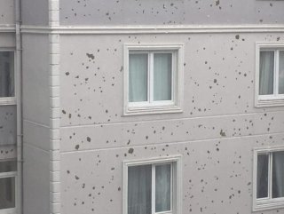 İstanbuldaki dolu yağışı etkisini gösterdi