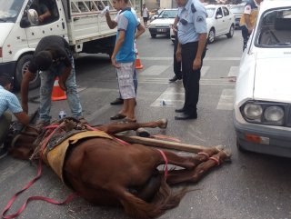 Adanada rögar kapağı hırsızlığı