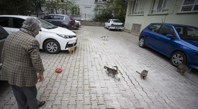 Sokak hayvanlarını beslemek için her gün 3 saat yürüyor