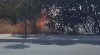 Silivri’de Otluk Alanda Yangın Çıktı