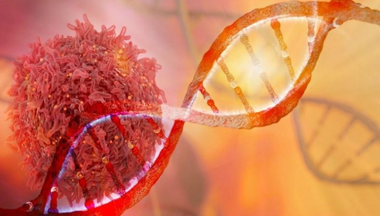 Kanser Türleri Nedir Ve Nasıl Sınıflandırılır?